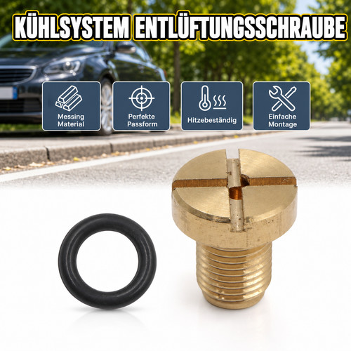 Entlüfterschraube dichtung - entlüfterschraube,